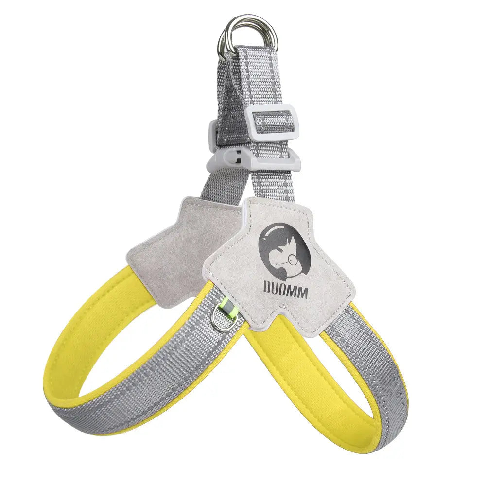 Dog Harness and Leash Set for Small to Medium Breeds, Including Corgis, Shiba Inus, and French Bulldogs; Collar and Vest Style Walking Solution