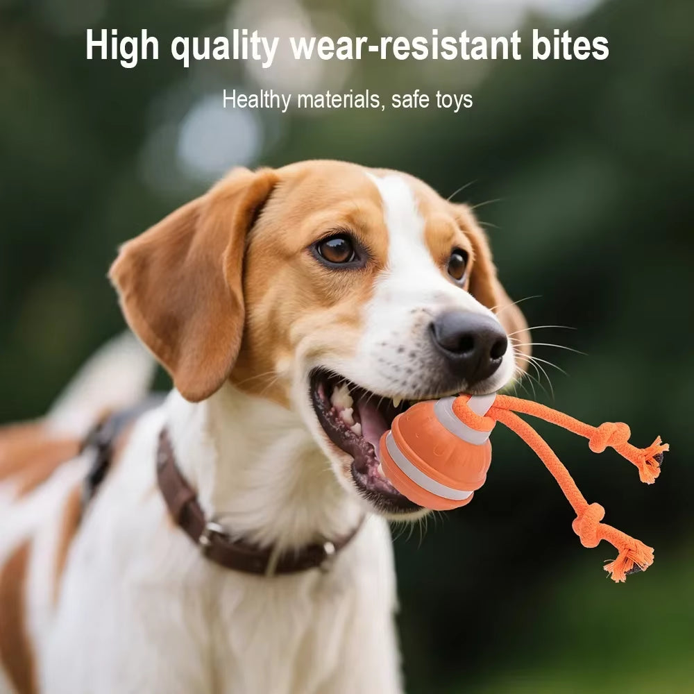 Interactive Automatic Rolling Ball Toy for Cats and Dogs with Faux Tail - Rechargeable Smart Electric Pet Training Device Imitating Mouse