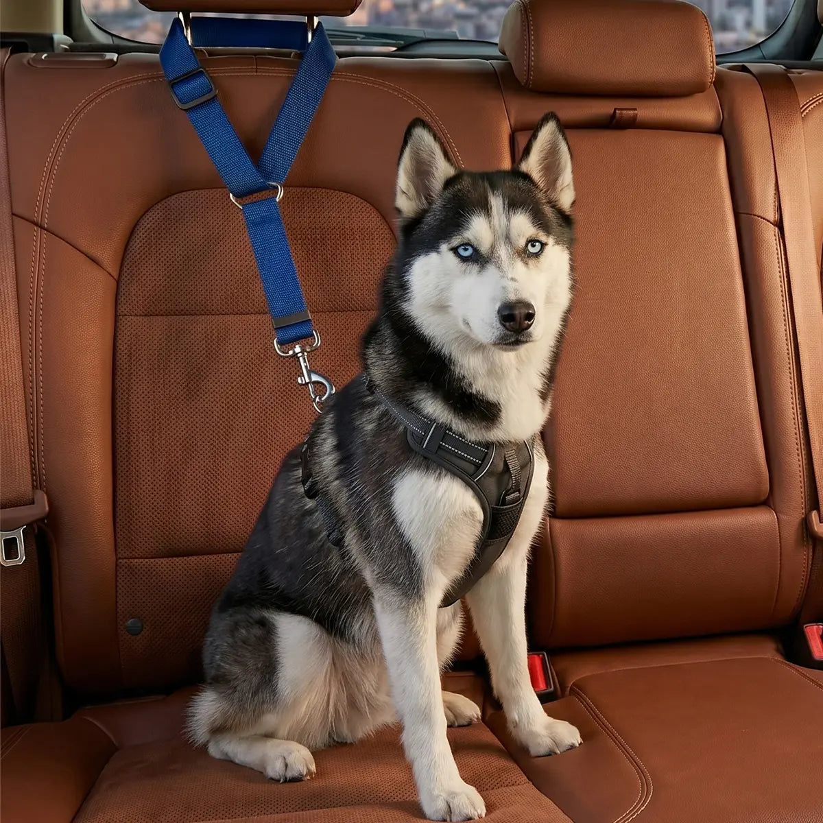 Adjustable Dog Car Safety Harness and Leash, Universal Fit for SUVs and Trucks, Includes Dual LED Retractable Chew Balls and Outdoor Interactive Bungee Toy