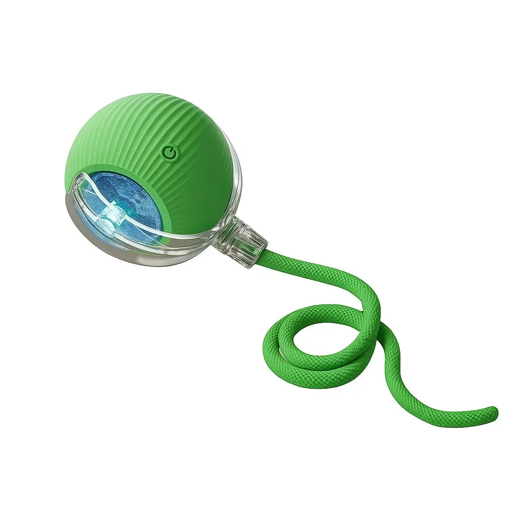 Mizusu Interactive Teaser Toy for Cats and Dogs with Two Extra Tails, Rolling Ball Toy for Kittens, Pet Supplies, and Accessories