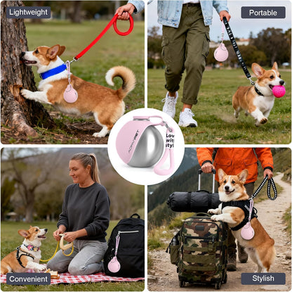 Stainless Steel Portable Dog Water Bottle with Bowl - 10oz No-Spill Travel Dispenser for Small Dogs, Ideal for Walking and Hiking