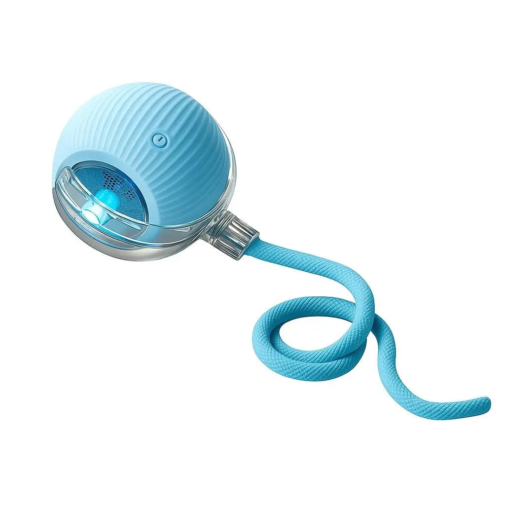 Mizusu Interactive Teaser Toy for Cats and Dogs with Two Extra Tails, Rolling Ball Toy for Kittens, Pet Supplies, and Accessories