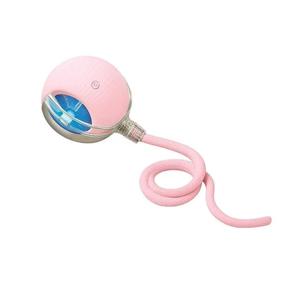 Mizusu Interactive Teaser Toy for Cats and Dogs with Two Extra Tails, Rolling Ball Toy for Kittens, Pet Supplies, and Accessories