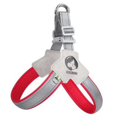 Dog Harness and Leash Set for Small to Medium Breeds, Including Corgis, Shiba Inus, and French Bulldogs; Collar and Vest Style Walking Solution