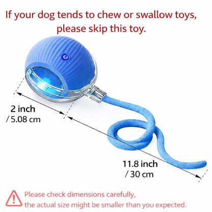 Mizusu Interactive Teaser Toy for Cats and Dogs with Two Extra Tails, Rolling Ball Toy for Kittens, Pet Supplies, and Accessories