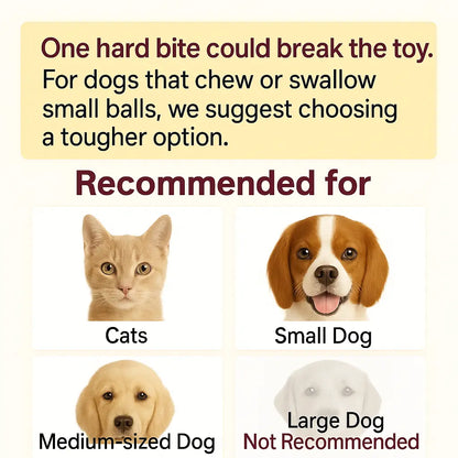 Mizusu Interactive Teaser Toy for Cats and Dogs with Two Extra Tails, Rolling Ball Toy for Kittens, Pet Supplies, and Accessories