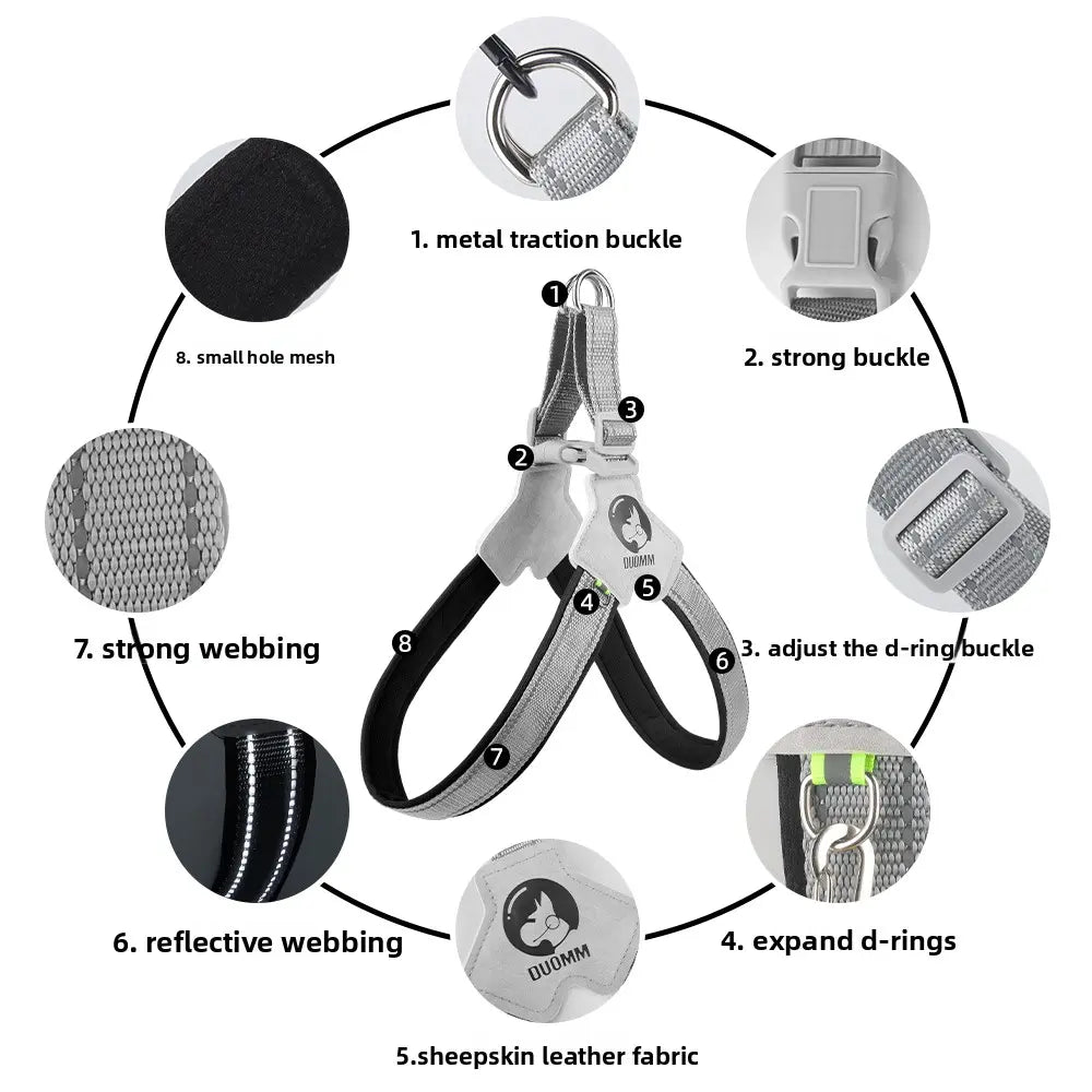 Dog Harness and Leash Set for Small to Medium Breeds, Including Corgis, Shiba Inus, and French Bulldogs; Collar and Vest Style Walking Solution