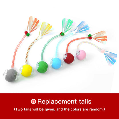 Mizusu Interactive Teaser Toy for Cats and Dogs with Two Extra Tails, Rolling Ball Toy for Kittens, Pet Supplies, and Accessories