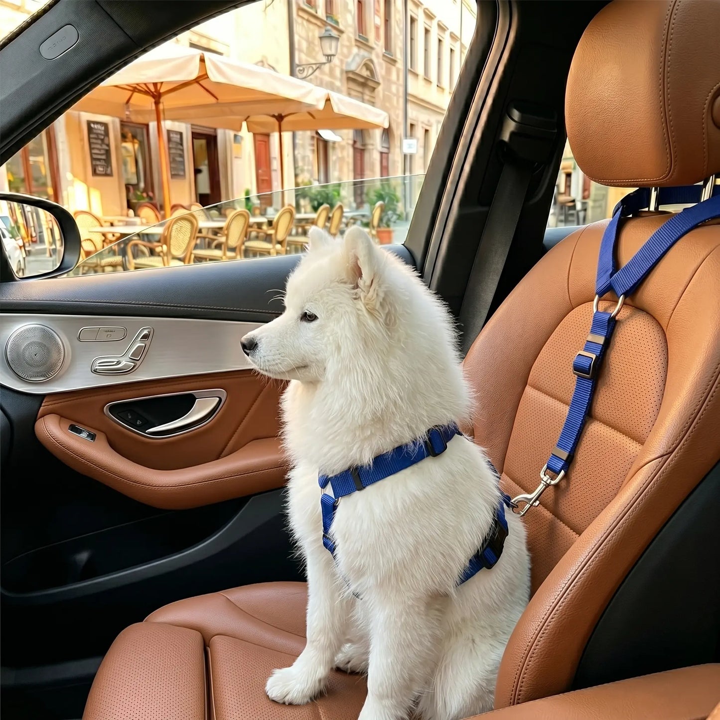 Adjustable Dog Car Safety Harness and Leash, Universal Fit for SUVs and Trucks, Includes Dual LED Retractable Chew Balls and Outdoor Interactive Bungee Toy