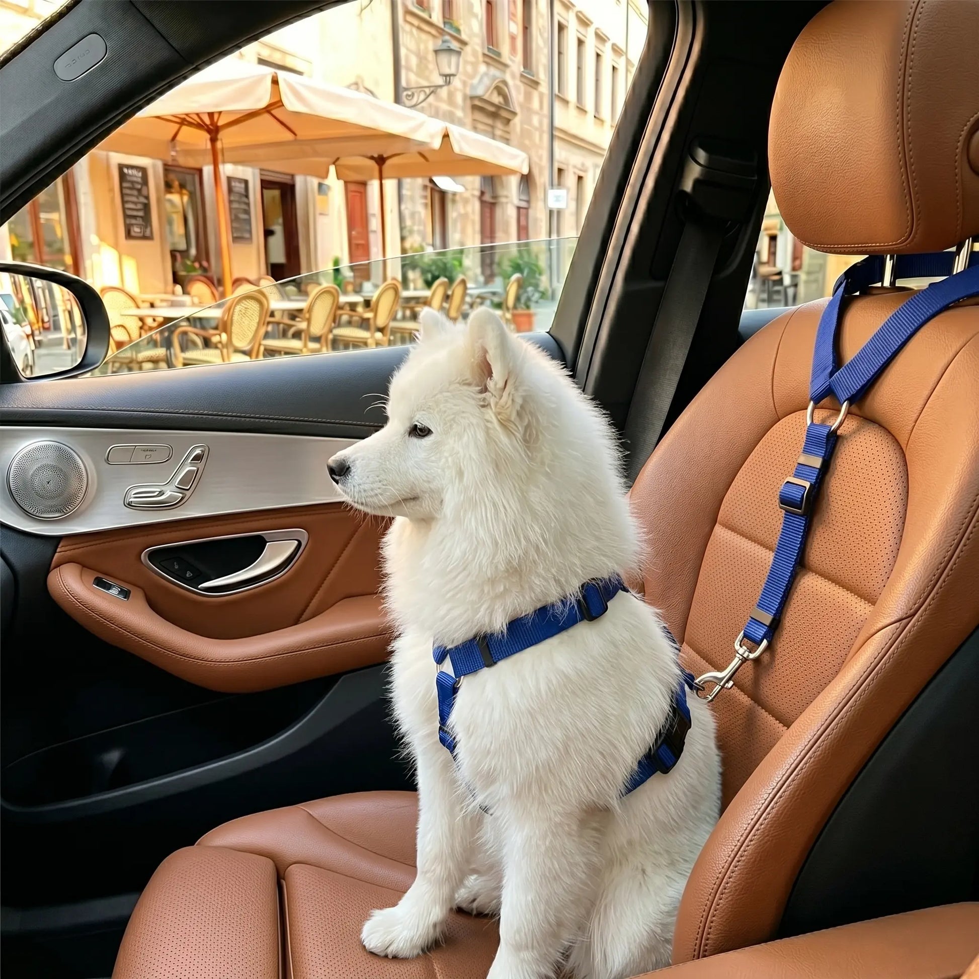 Adjustable Dog Car Safety Harness and Leash, Universal Fit for SUVs and Trucks, Includes Dual LED Retractable Chew Balls and Outdoor Interactive Bungee Toy