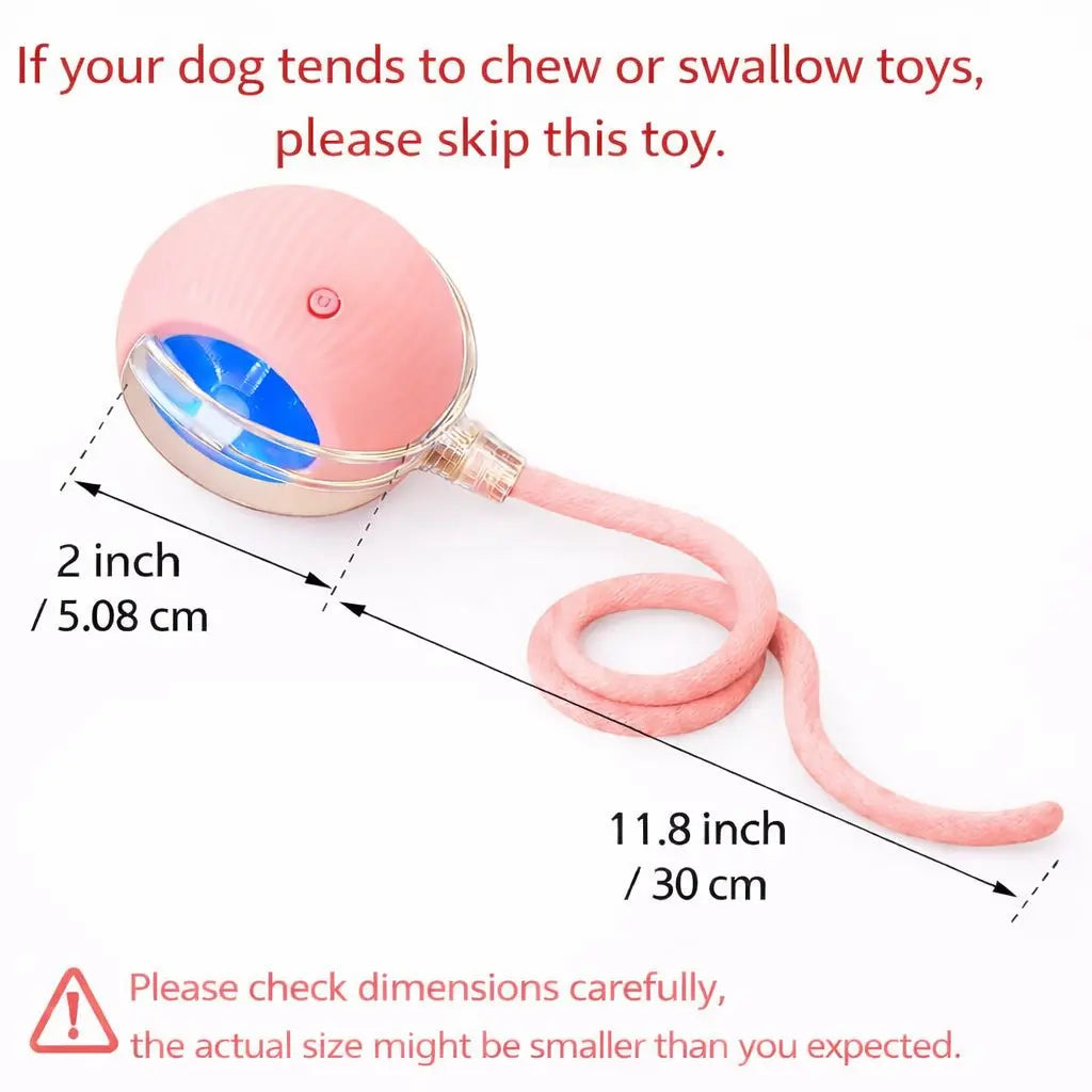 Mizusu Interactive Teaser Toy for Cats and Dogs with Two Extra Tails, Rolling Ball Toy for Kittens, Pet Supplies, and Accessories