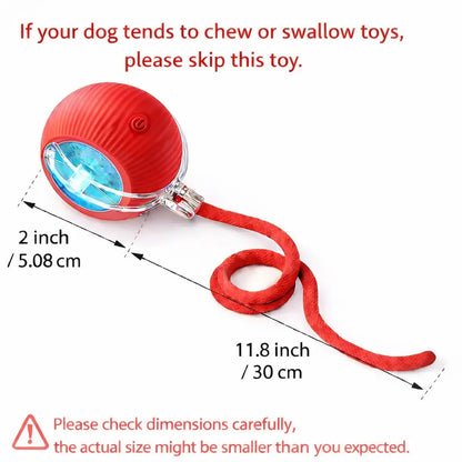 Mizusu Interactive Teaser Toy for Cats and Dogs with Two Extra Tails, Rolling Ball Toy for Kittens, Pet Supplies, and Accessories