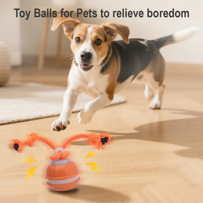 Interactive Automatic Rolling Ball Toy for Cats and Dogs with Faux Tail - Rechargeable Smart Electric Pet Training Device Imitating Mouse