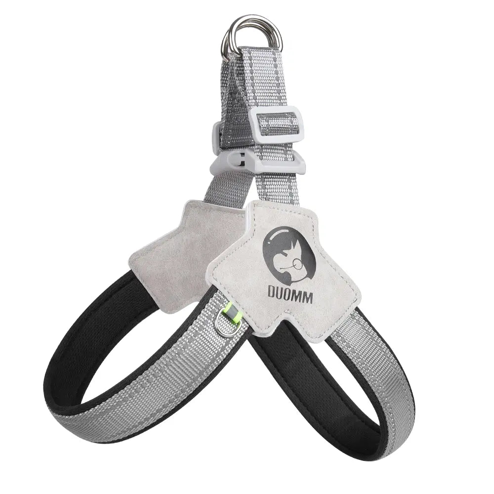 Dog Harness and Leash Set for Small to Medium Breeds, Including Corgis, Shiba Inus, and French Bulldogs; Collar and Vest Style Walking Solution