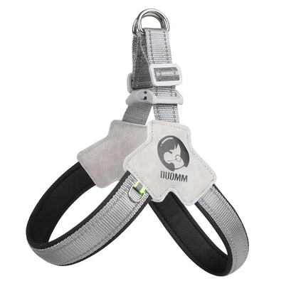 Dog Harness and Leash Set for Small to Medium Breeds, Including Corgis, Shiba Inus, and French Bulldogs; Collar and Vest Style Walking Solution