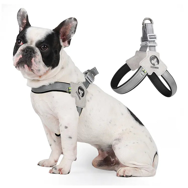 Dog Harness and Leash Set for Small to Medium Breeds, Including Corgis, Shiba Inus, and French Bulldogs; Collar and Vest Style Walking Solution