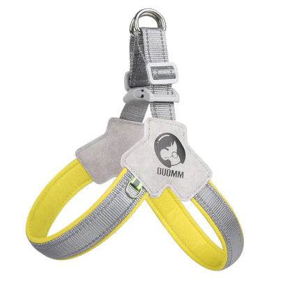 Dog Harness and Leash Set for Small to Medium Breeds, Including Corgis, Shiba Inus, and French Bulldogs; Collar and Vest Style Walking Solution