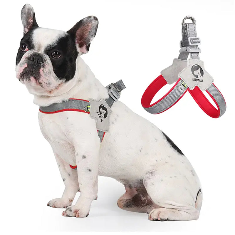 Dog Harness and Leash Set for Small to Medium Breeds, Including Corgis, Shiba Inus, and French Bulldogs; Collar and Vest Style Walking Solution