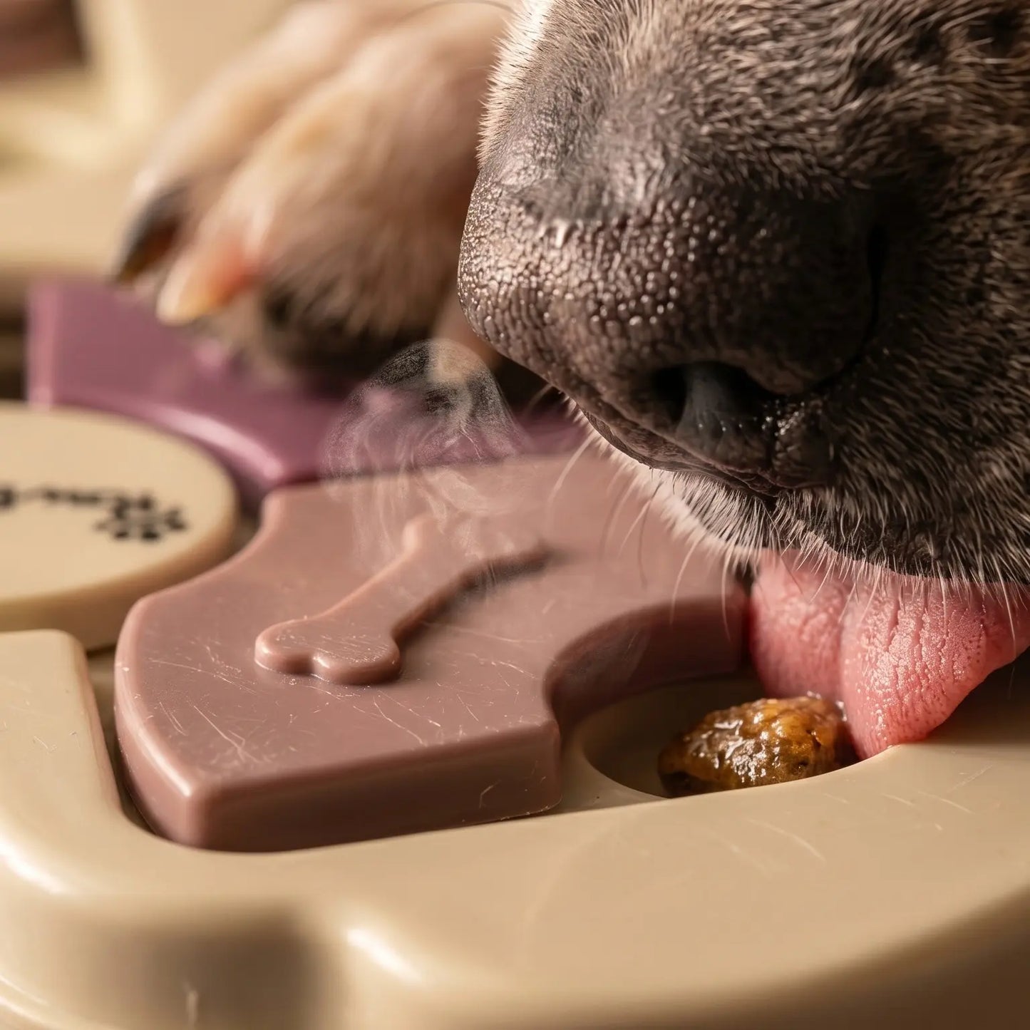 Interactive Dog Puzzle Toy and Slow Feeder Bowl - Level 1 Treat Dispenser for Mental Stimulation, Healthy Digestion, and Engaging Mealtime Activities
