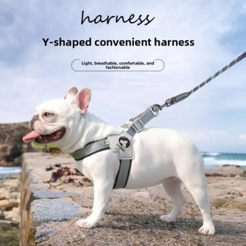 Dog Harness and Leash Set for Small to Medium Breeds, Including Corgis, Shiba Inus, and French Bulldogs; Collar and Vest Style Walking Solution