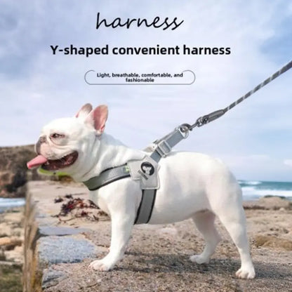 Dog Harness and Leash Set for Small to Medium Breeds, Including Corgis, Shiba Inus, and French Bulldogs; Collar and Vest Style Walking Solution